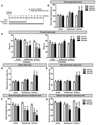 Decreased Hippocampal Neuroplasticity and Behavioral Impairment in an Animal Model of Inhalant Abuse